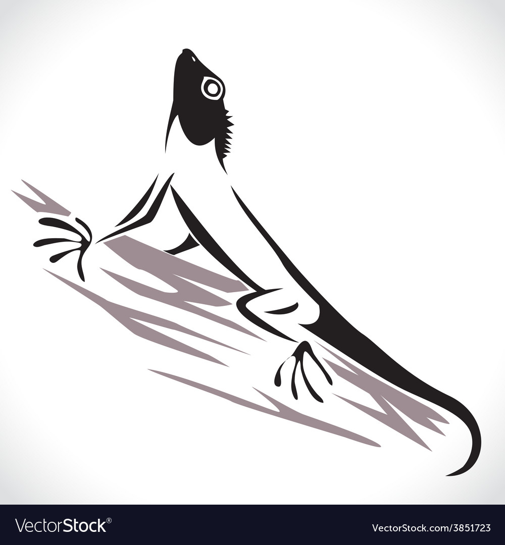 Lizard 4 Royalty Free Vector Image - VectorStock