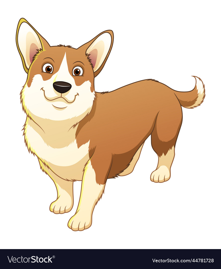 Corgi Dog Cartoon Animal Royalty Free Vector Image