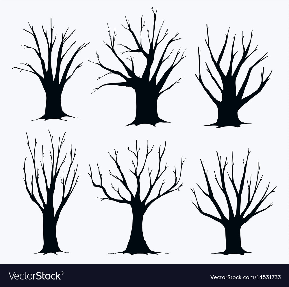 Collection of trees silhouettes Royalty Free Vector Image