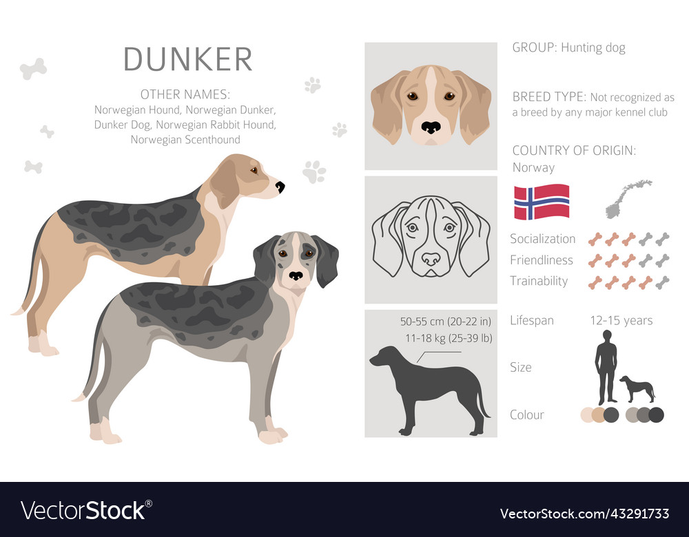 Dunker clipart different poses coat colors set Vector Image