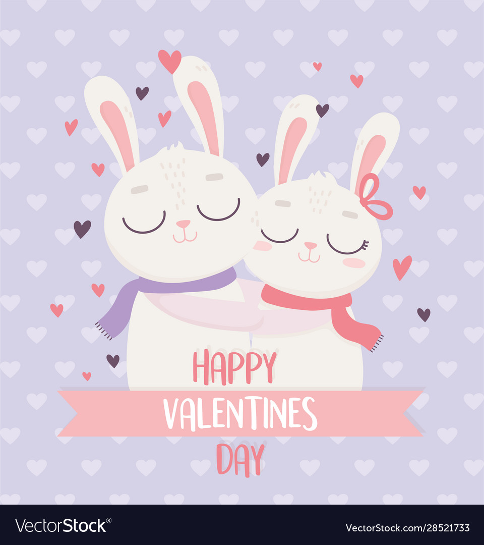 Happy valentines day cute couple rabbits hugging Vector Image