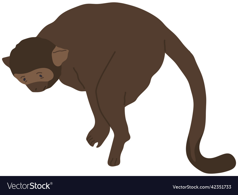 Monkey with long tail standing on four legs cute Vector Image