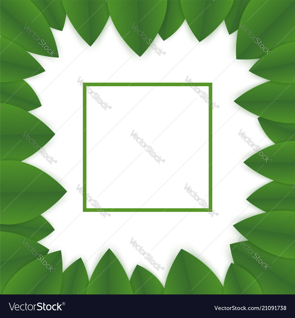 Floral Banner Template Royalty Free Vector Image