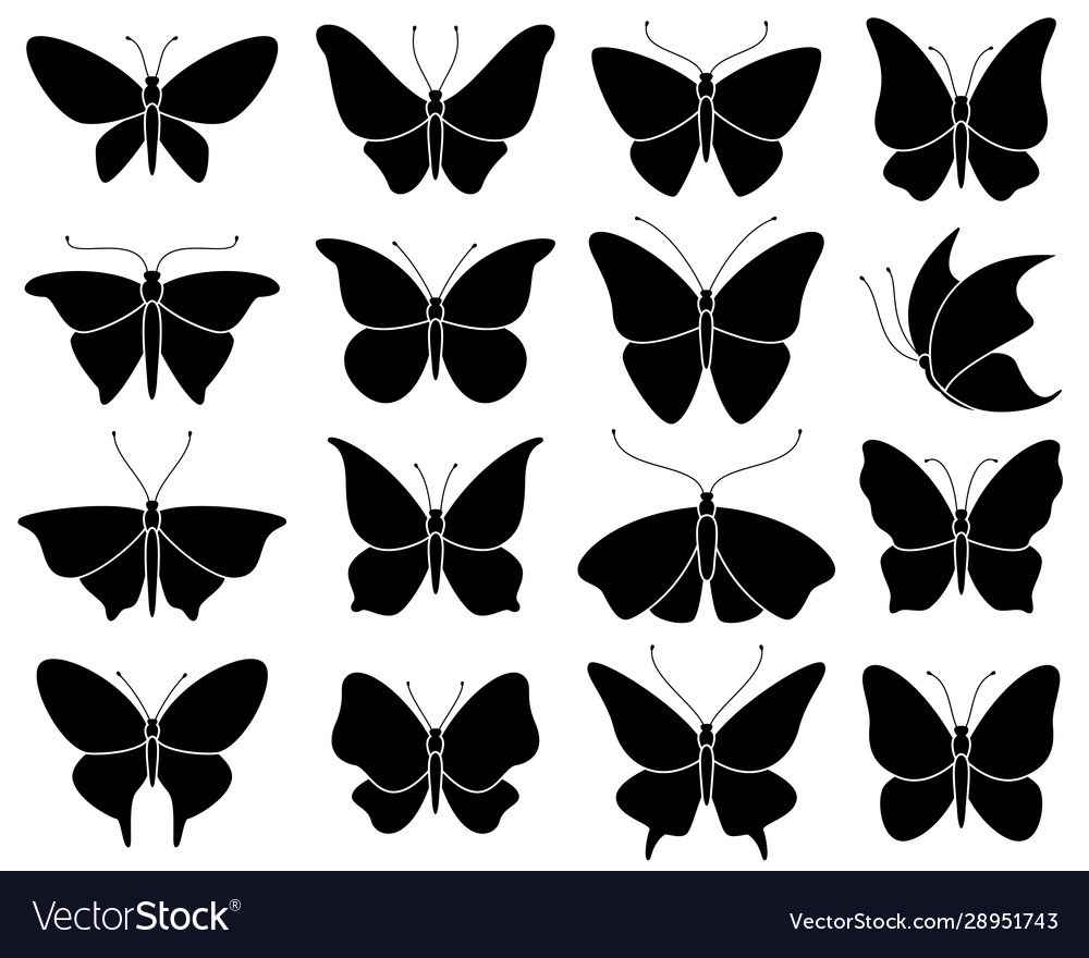 Premium Vector  Butterfly logo symbol stencil design tattoo