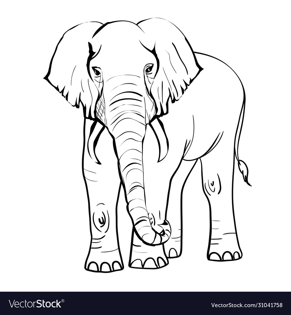 Incredible Collection of 4K Elephant Drawing Images: Over 999 Exquisite