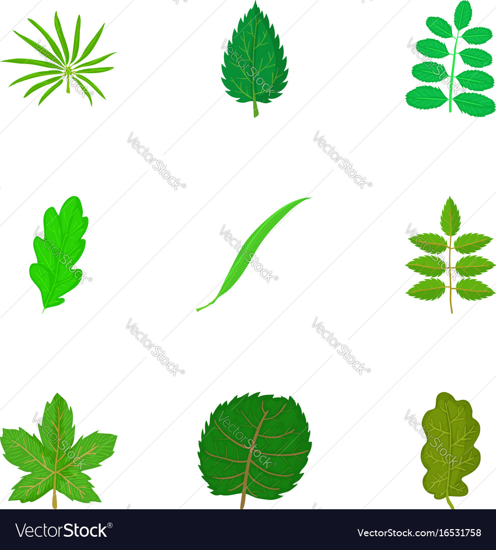 Leaf icons set cartoon style Royalty Free Vector Image