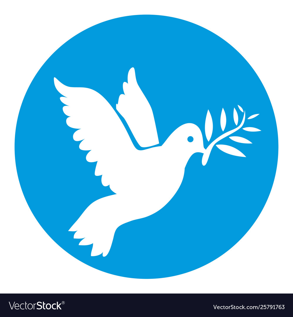 Dove white color symbol peace isolated in Vector Image