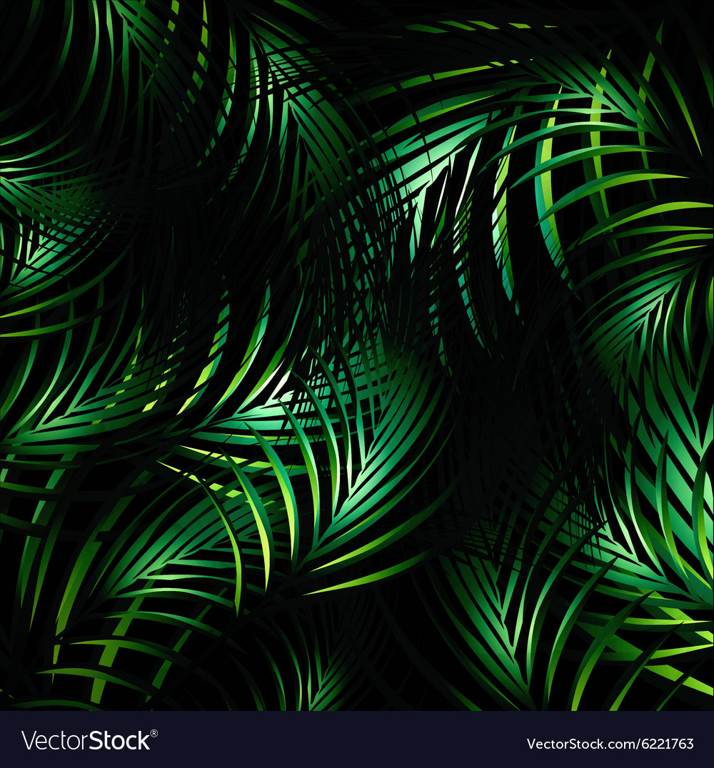 Jungle night background