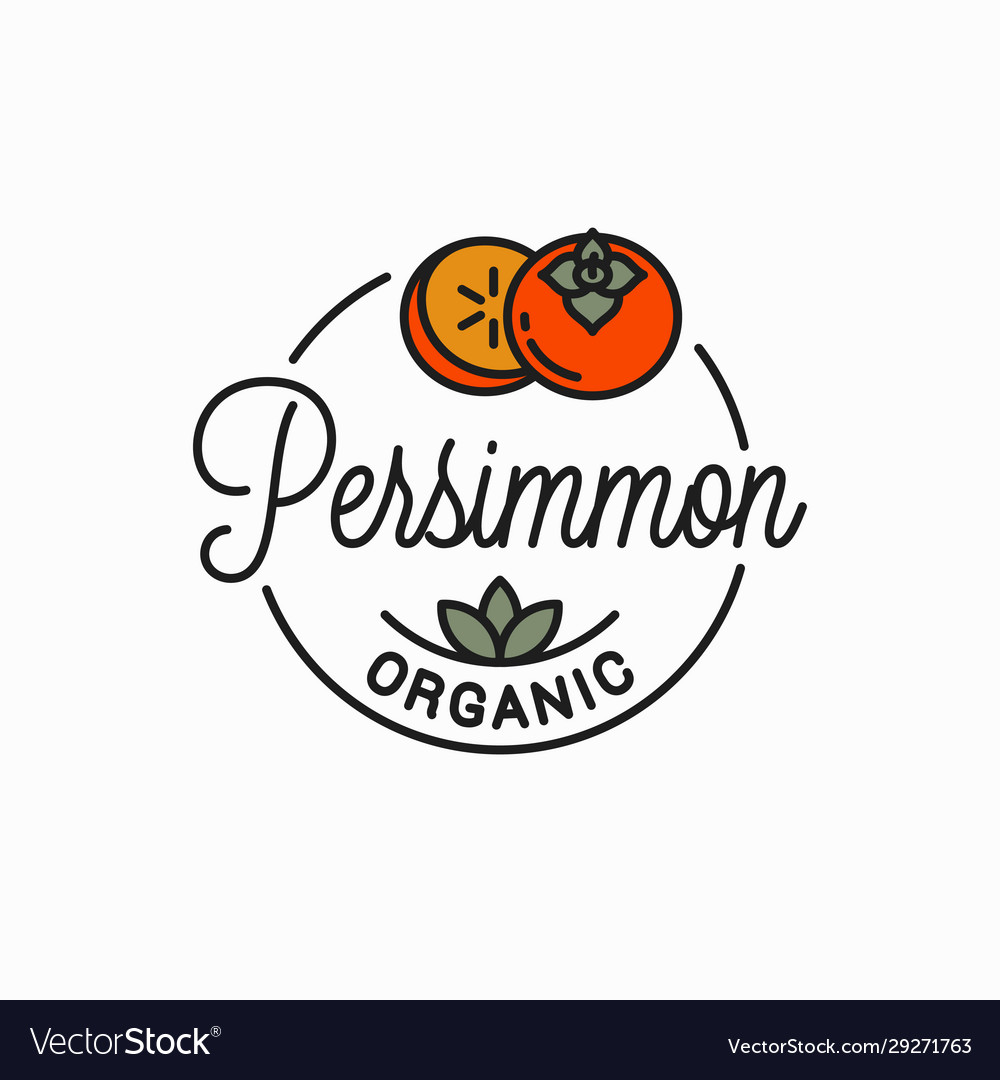 Persimmon fruit logo round linear Royalty Free Vector Image