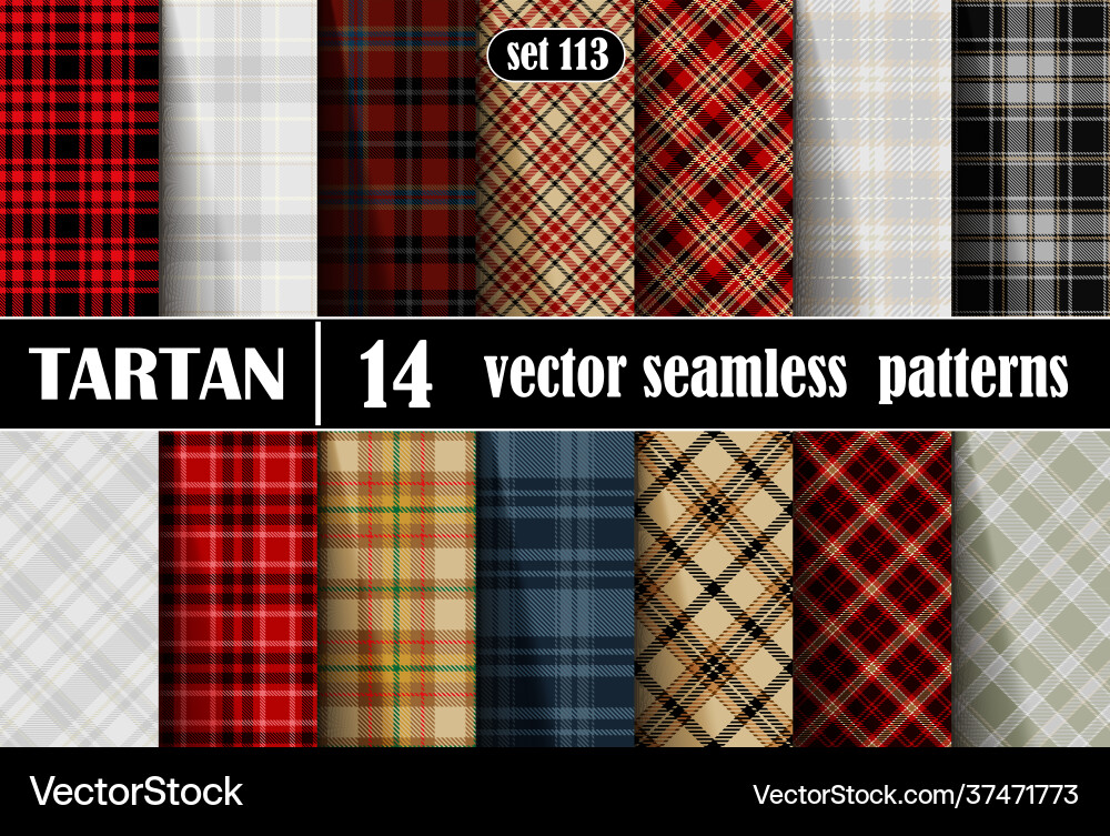 Set tartan seamless pattern Royalty Free Vector Image