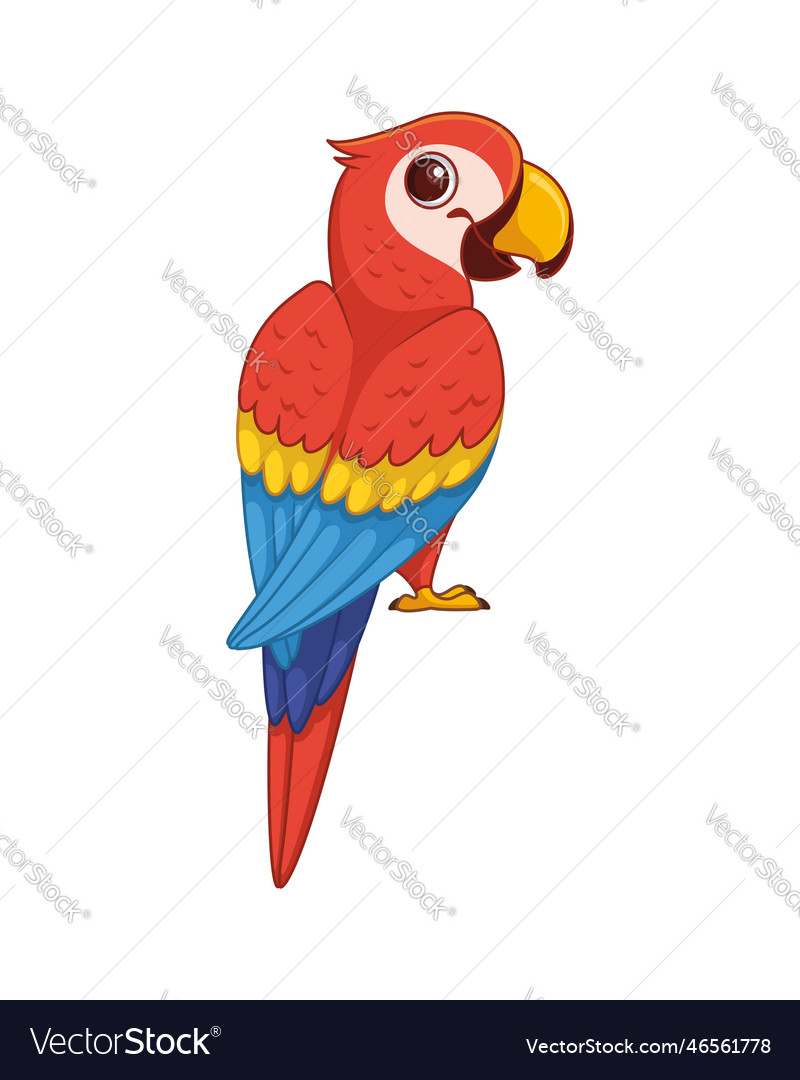 Scarlet macaw parrot cartoon Royalty Free Vector Image