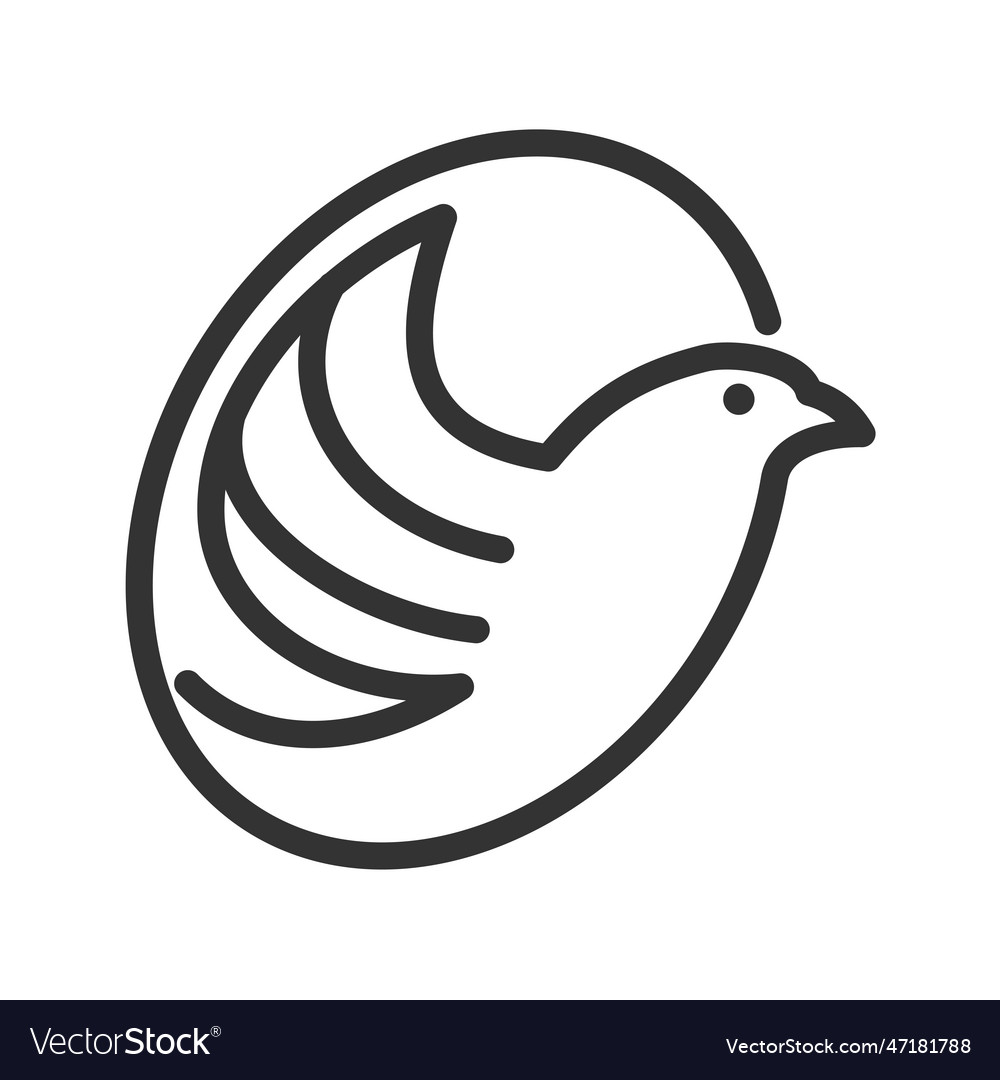 Bird logo template icon brand identity isolated