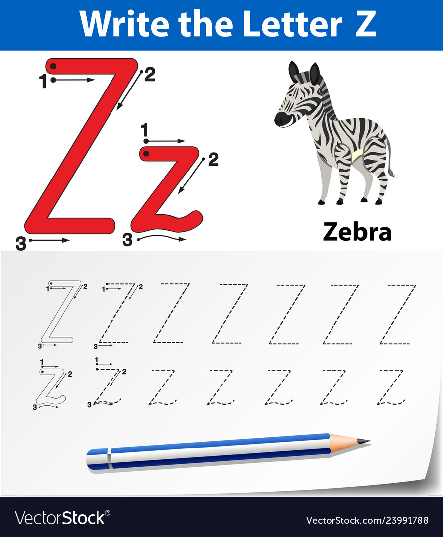 letter z tracing alphabet worksheets royalty free vector