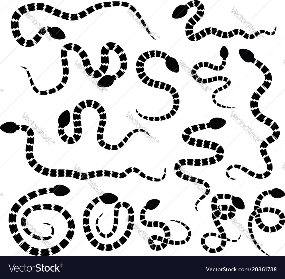 Set of snake silhouette icons vector image Set of snake silhouette icons
