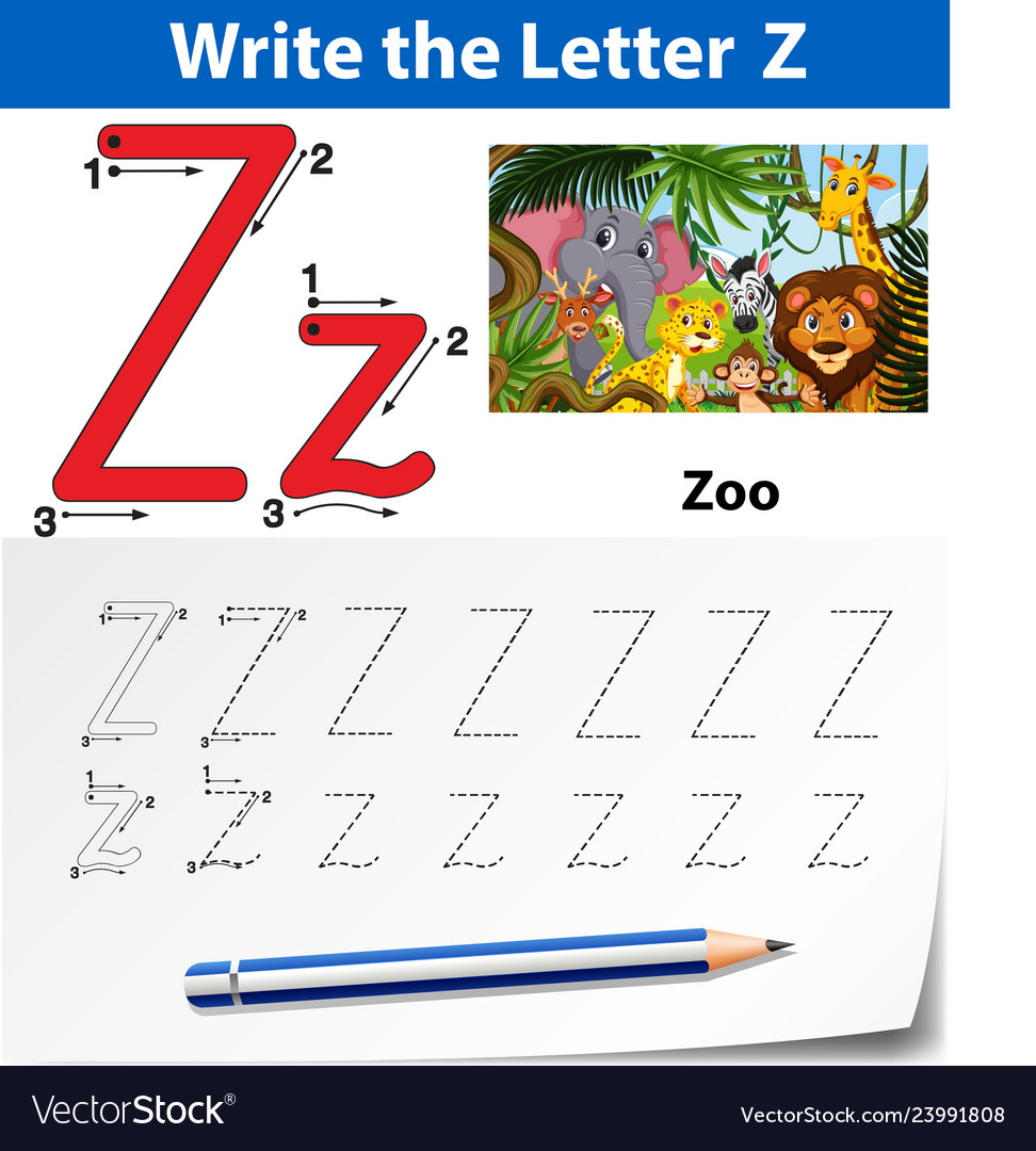 letter z tracing alphabet worksheets royalty free vector