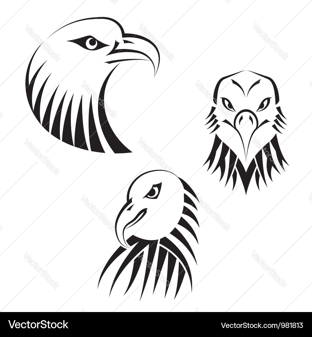 Set eagles heads Royalty Free Vector Image - VectorStock