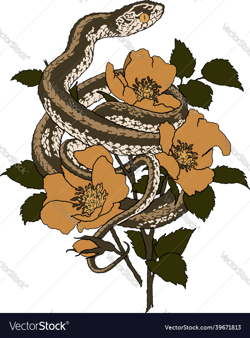 Snake and flowers Royalty Free Vector Image - VectorStock