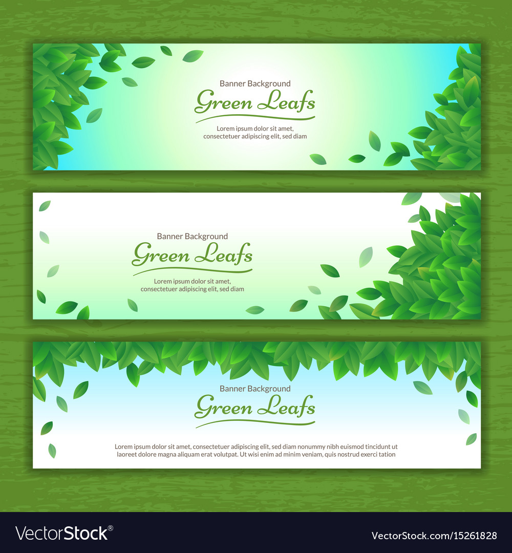 Set nature background banner with green leaf Vector Image Set nature background banner with green leaf Vector Image