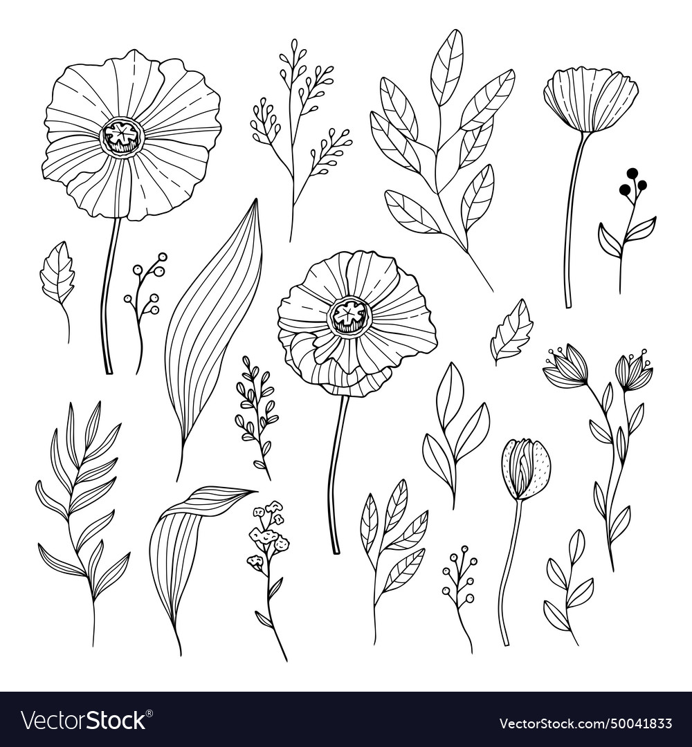 Set Of Hand Drawn Meadow Flowers Isolated On White