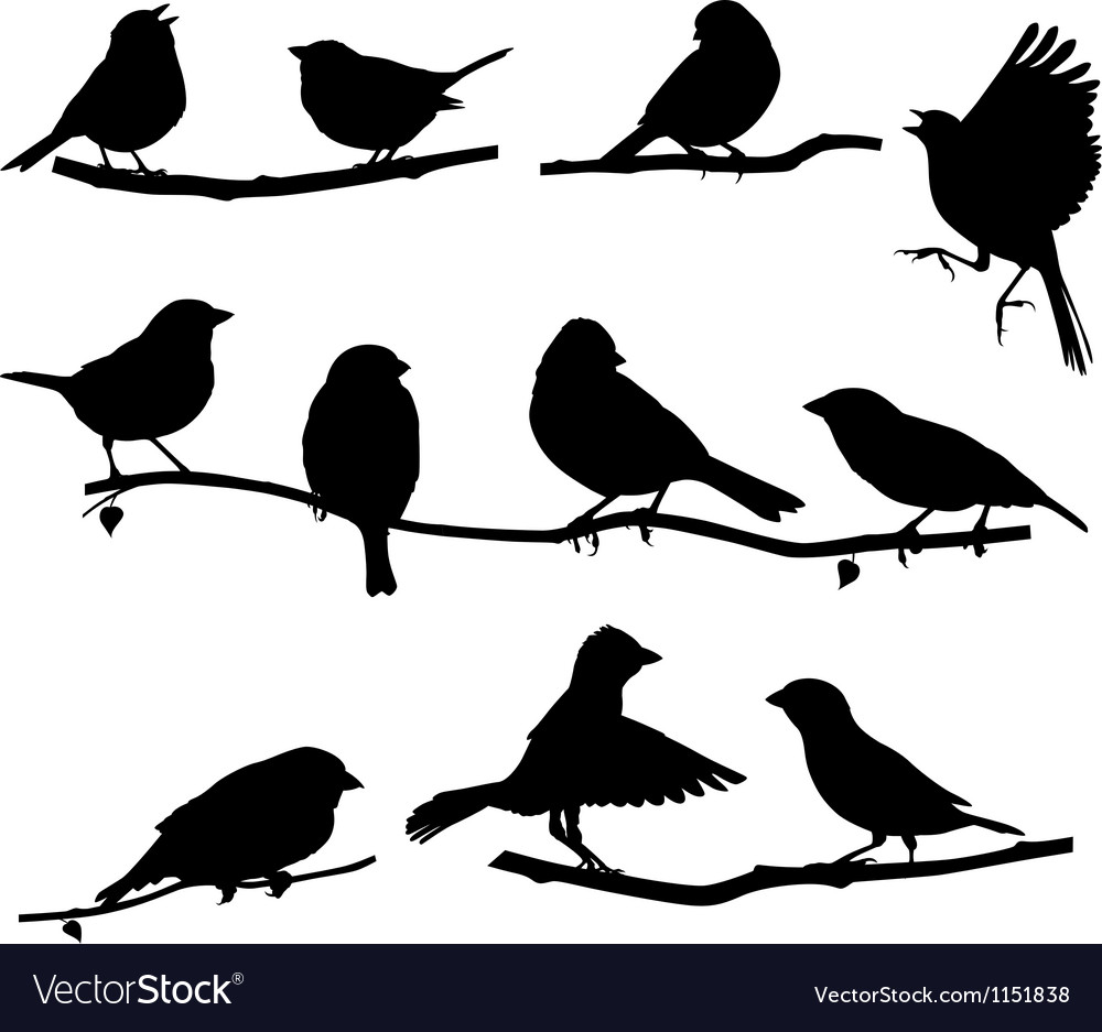 Download Silhouettes bird on a branch Royalty Free Vector Image