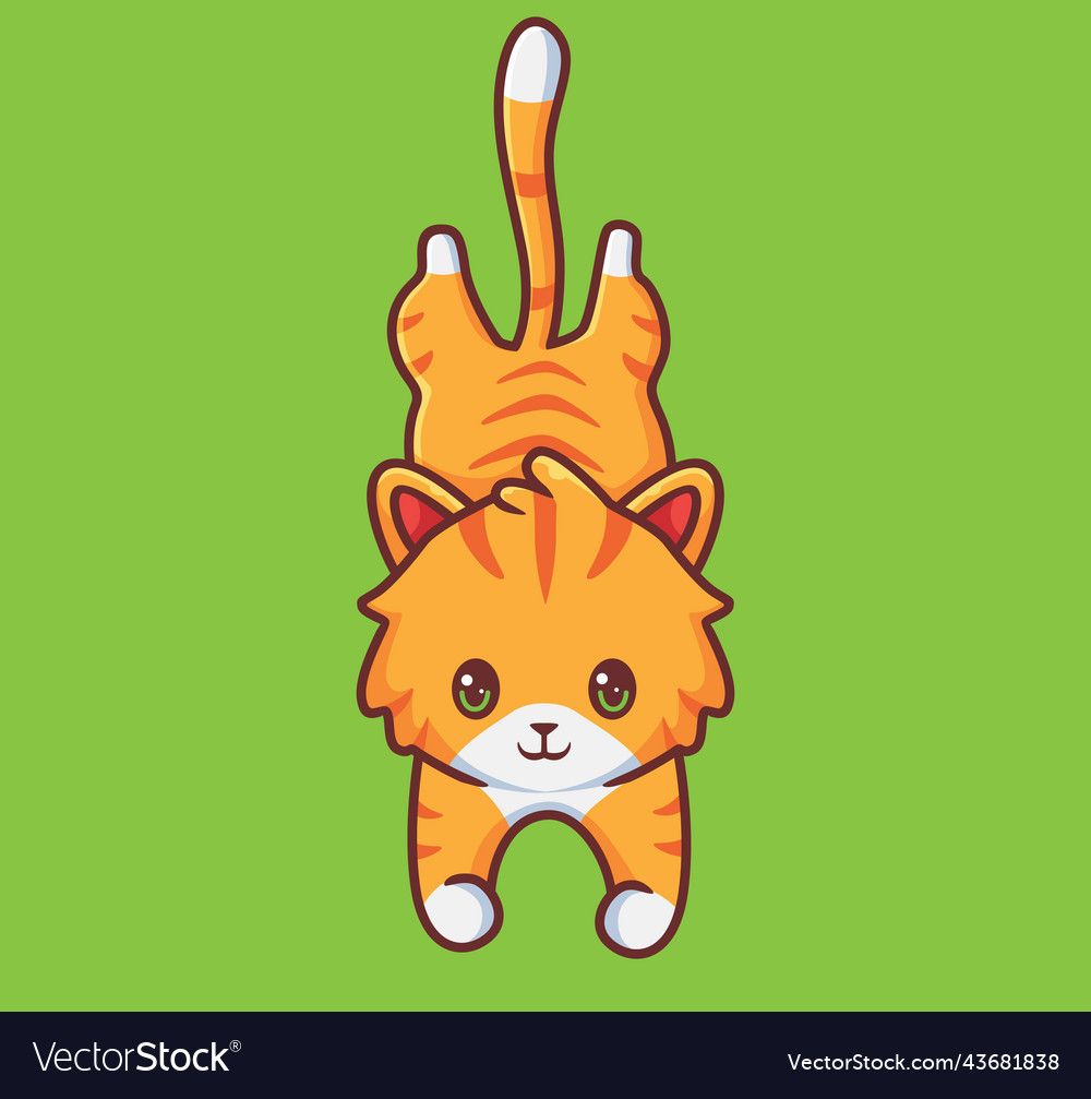 Template sscdr royalty free vector image vectorstock