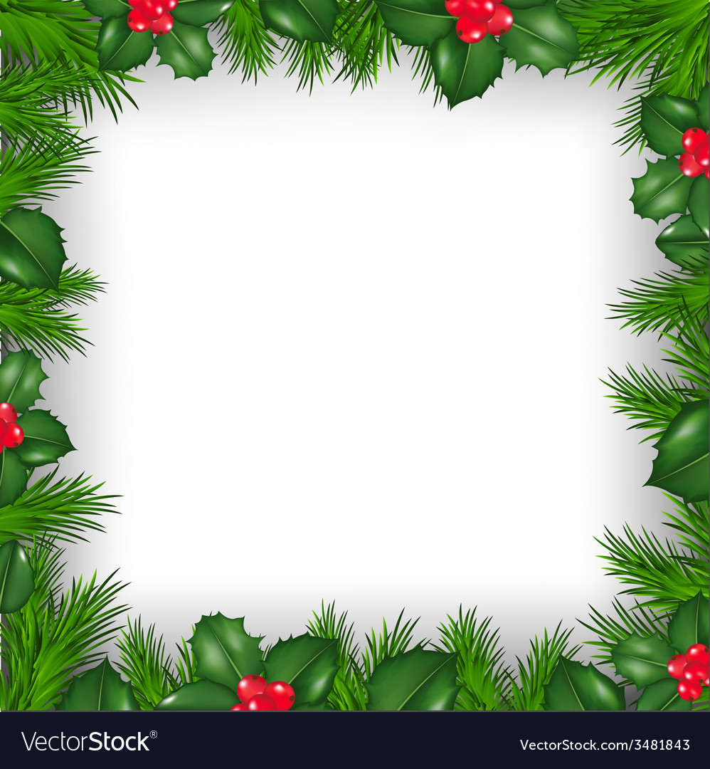 Christmas holly Royalty Free Vector Image - VectorStock