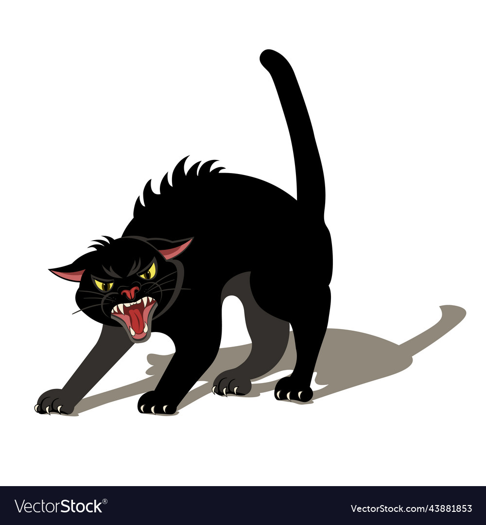 Angry cat hissing Royalty Free Vector Image VectorStock