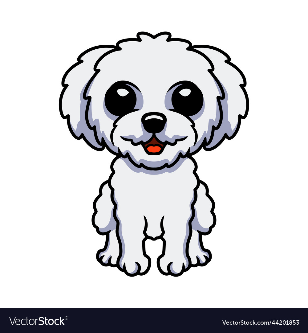 Cute bichon frise cartoon sitting Royalty Free Vector Image