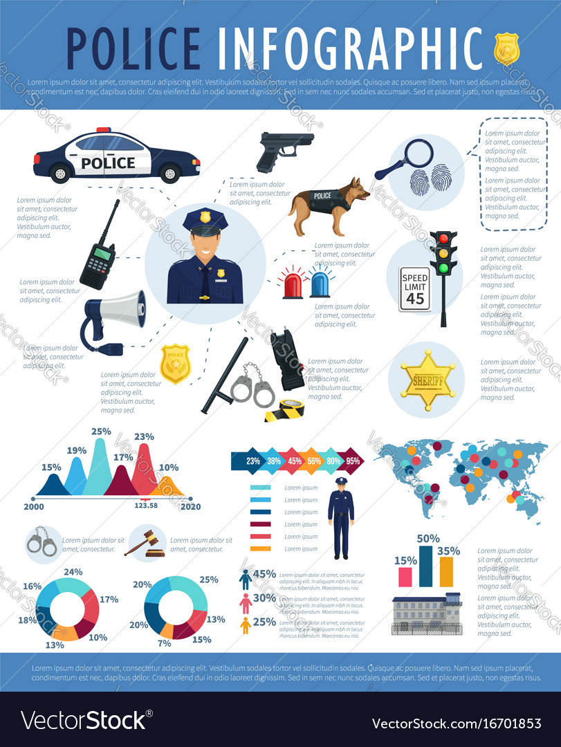 Police Infographic For Crime Law Justice Design Vector Image 