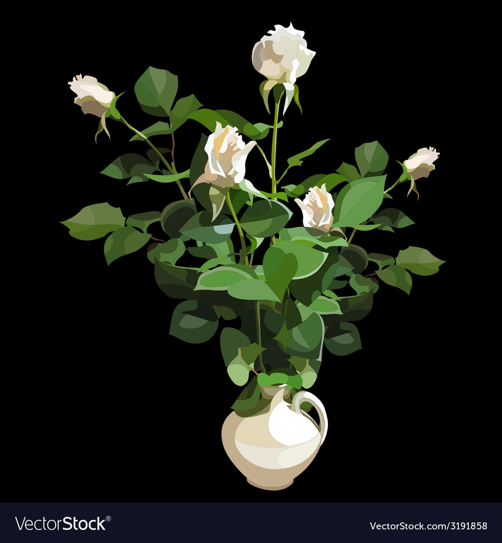 Bouquet Of White Roses In A White Vase On A Black Vector Image