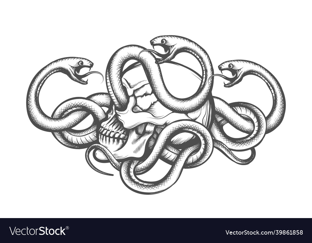 Human skull and snakes tattoo vector image Human skull and snakes tattoo