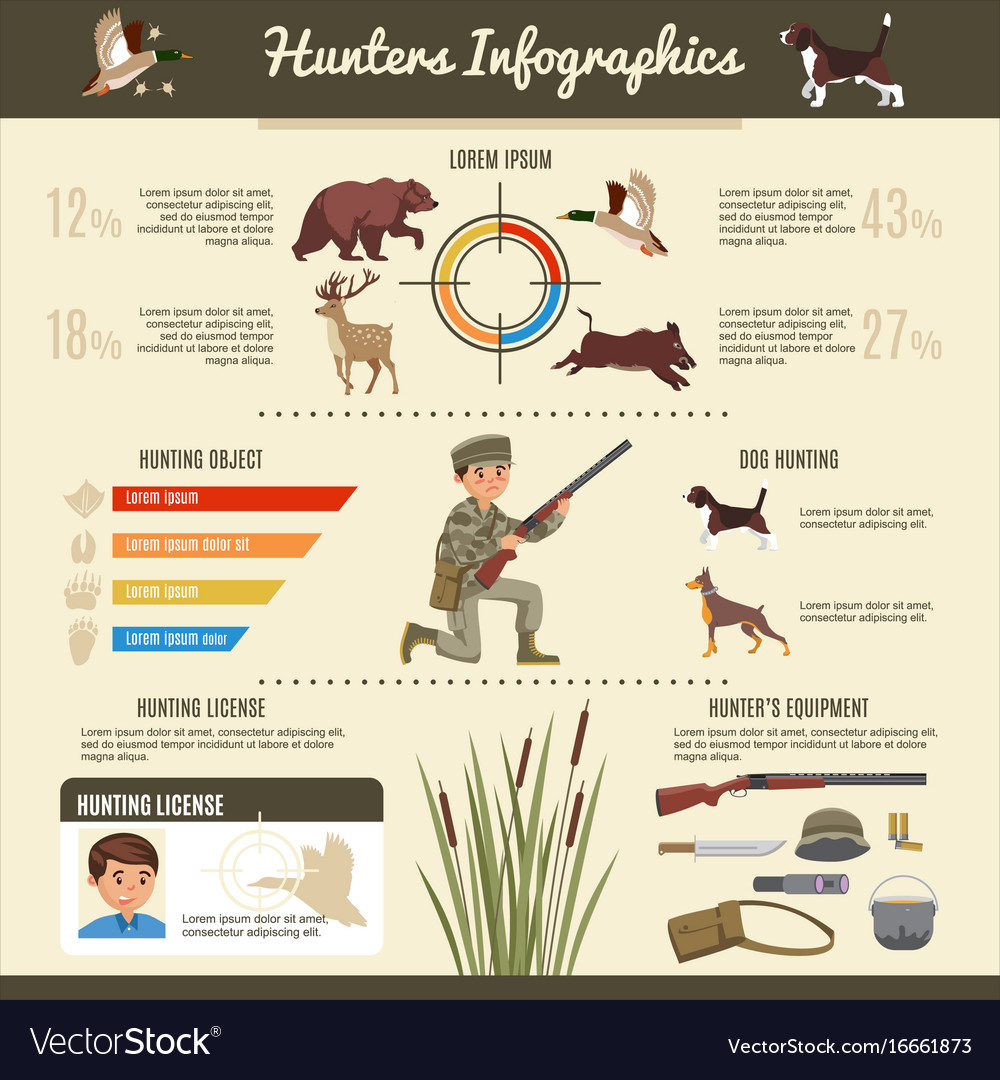 Hunting Infographic Template Royalty Free Vector Image