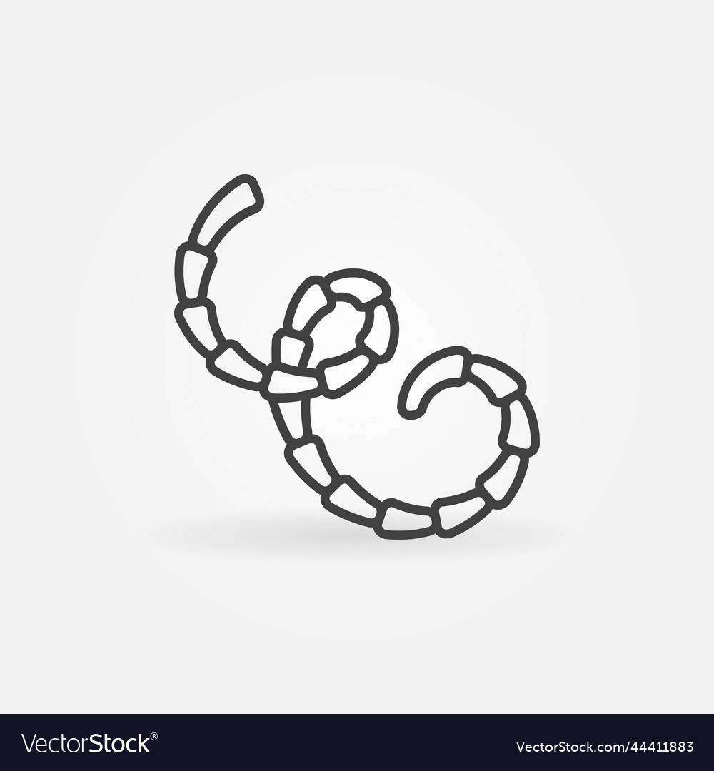 Eucestoda intestinal parasites concept Royalty Free Vector