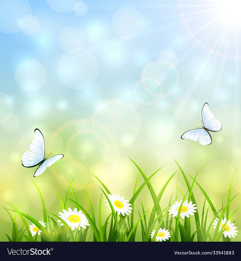 Summer natural background Royalty Free Vector Image