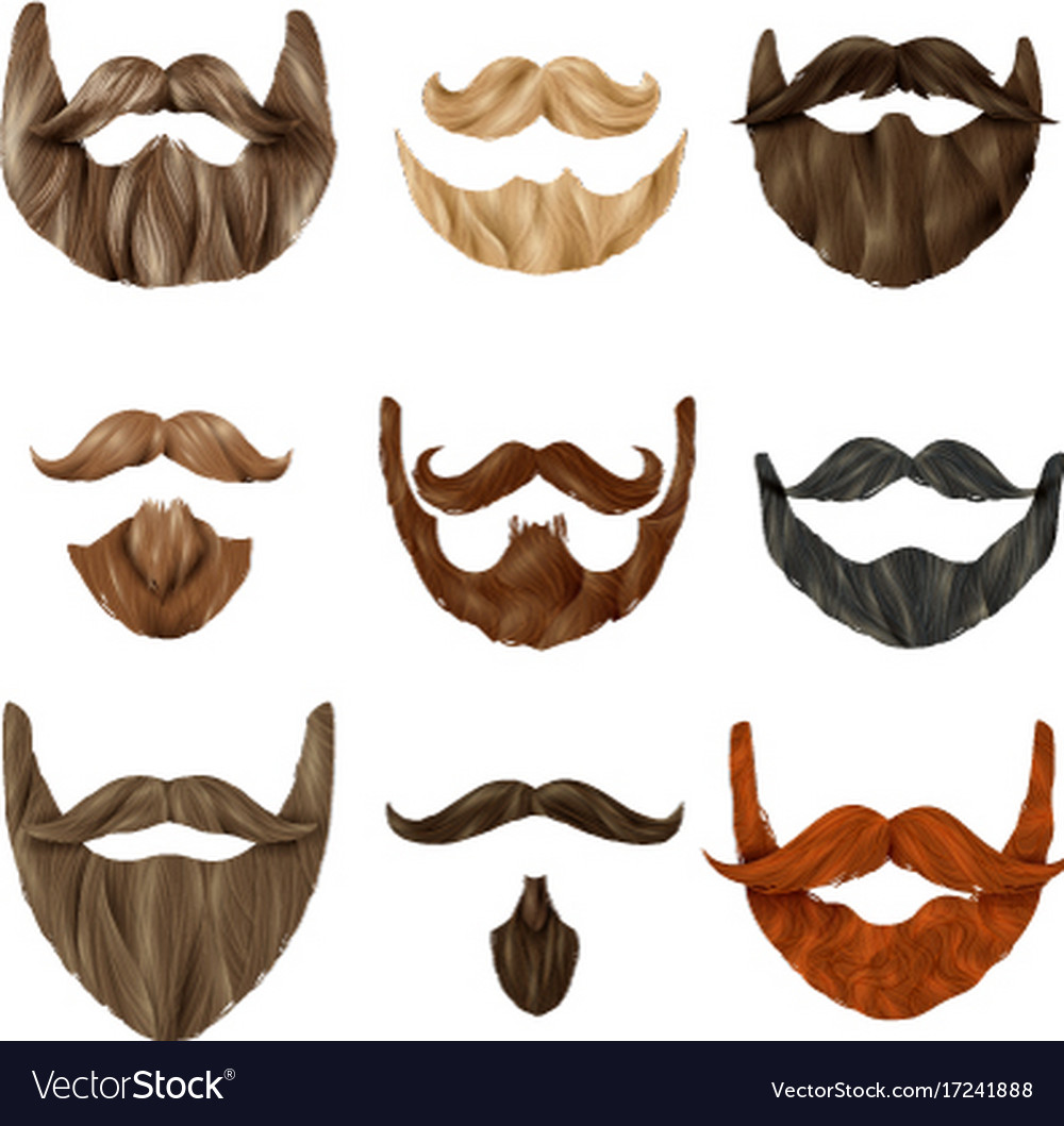 Realistic beards and mustache set Royalty Free Vector Image