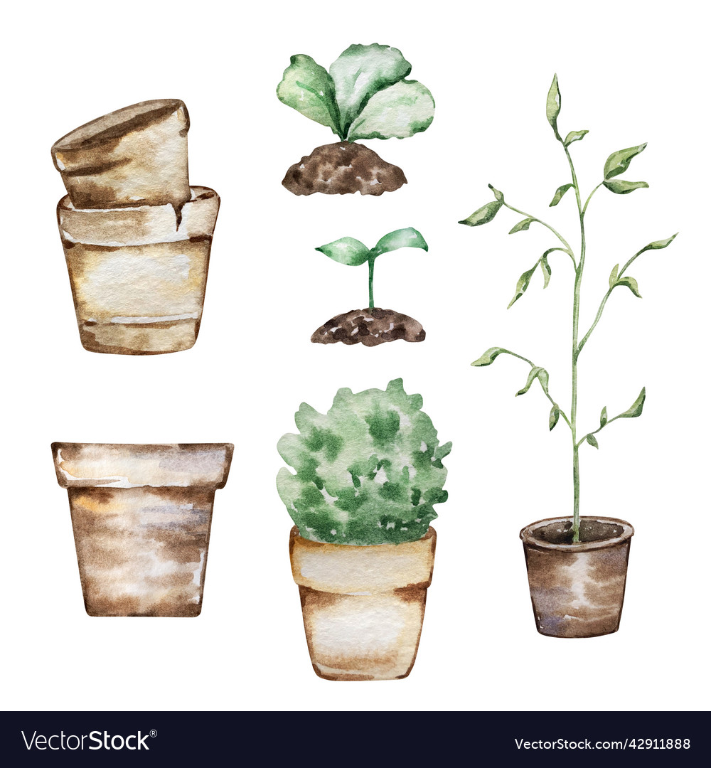 Watercolor set of garden plants Royalty Free Vector Image