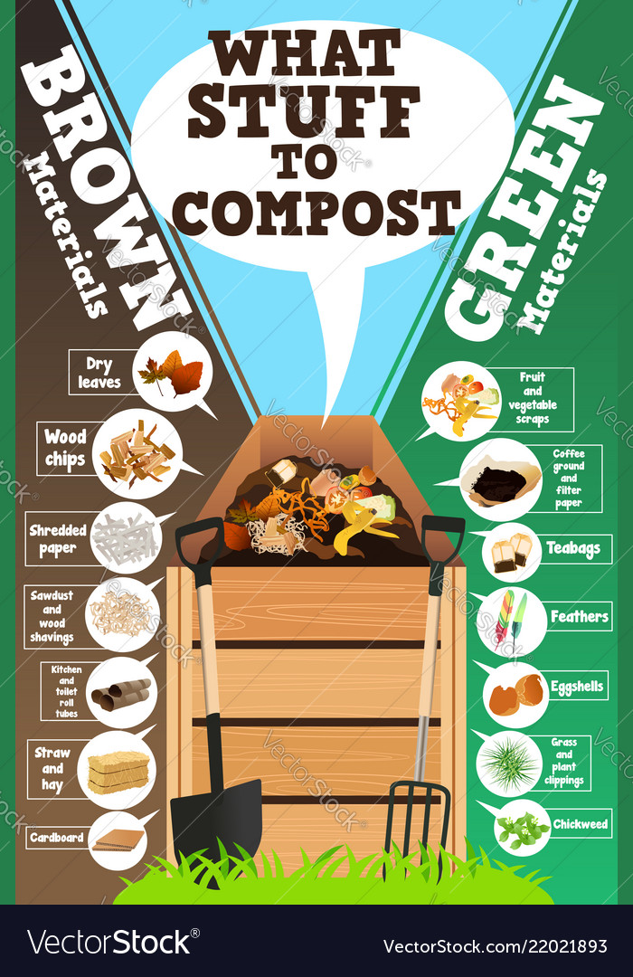 What stuff to compost Royalty Free Vector Image