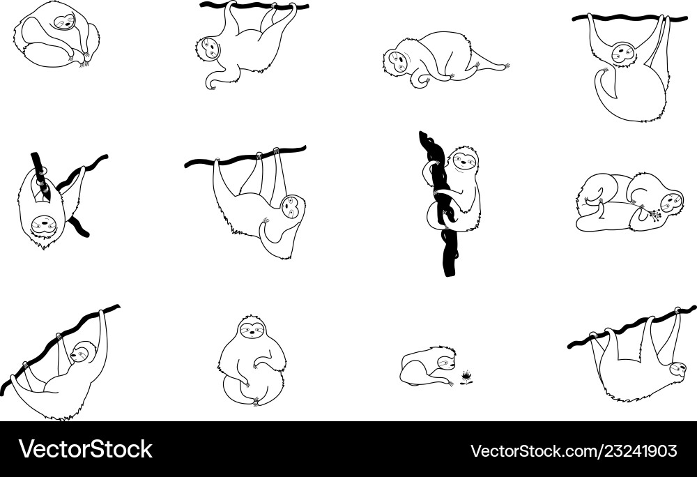 Cute character sloth Royalty Free Vector Image