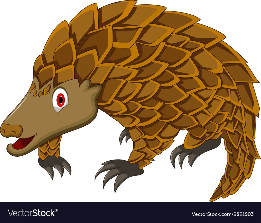 Cute pangolin cartoon