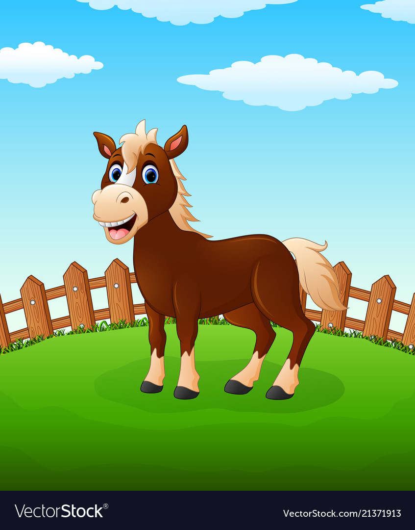 Happy horse cartoon on the field Royalty Free Vector Image