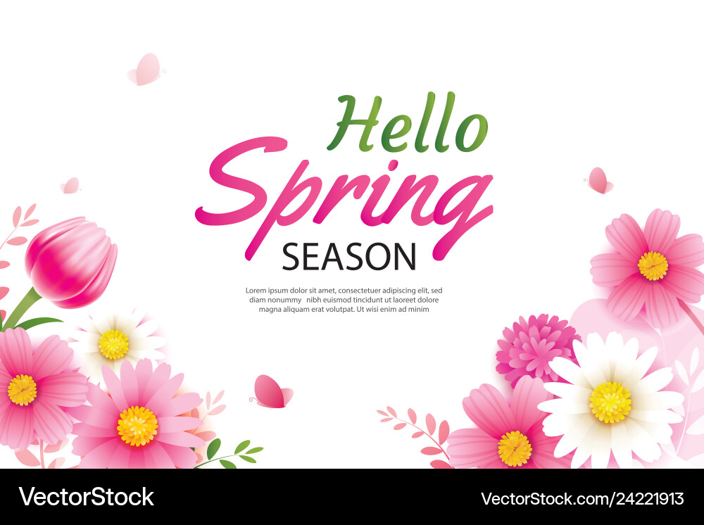 Hello spring greeting card and invitation Vector Image