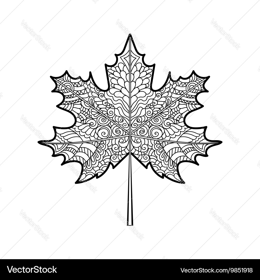 Decorative maple leaf Royalty Free Vector Image