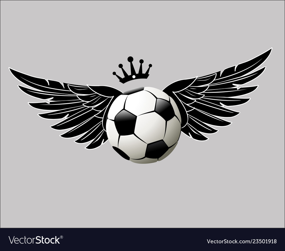 Soccer balls Royalty Free Vector Image - VectorStock