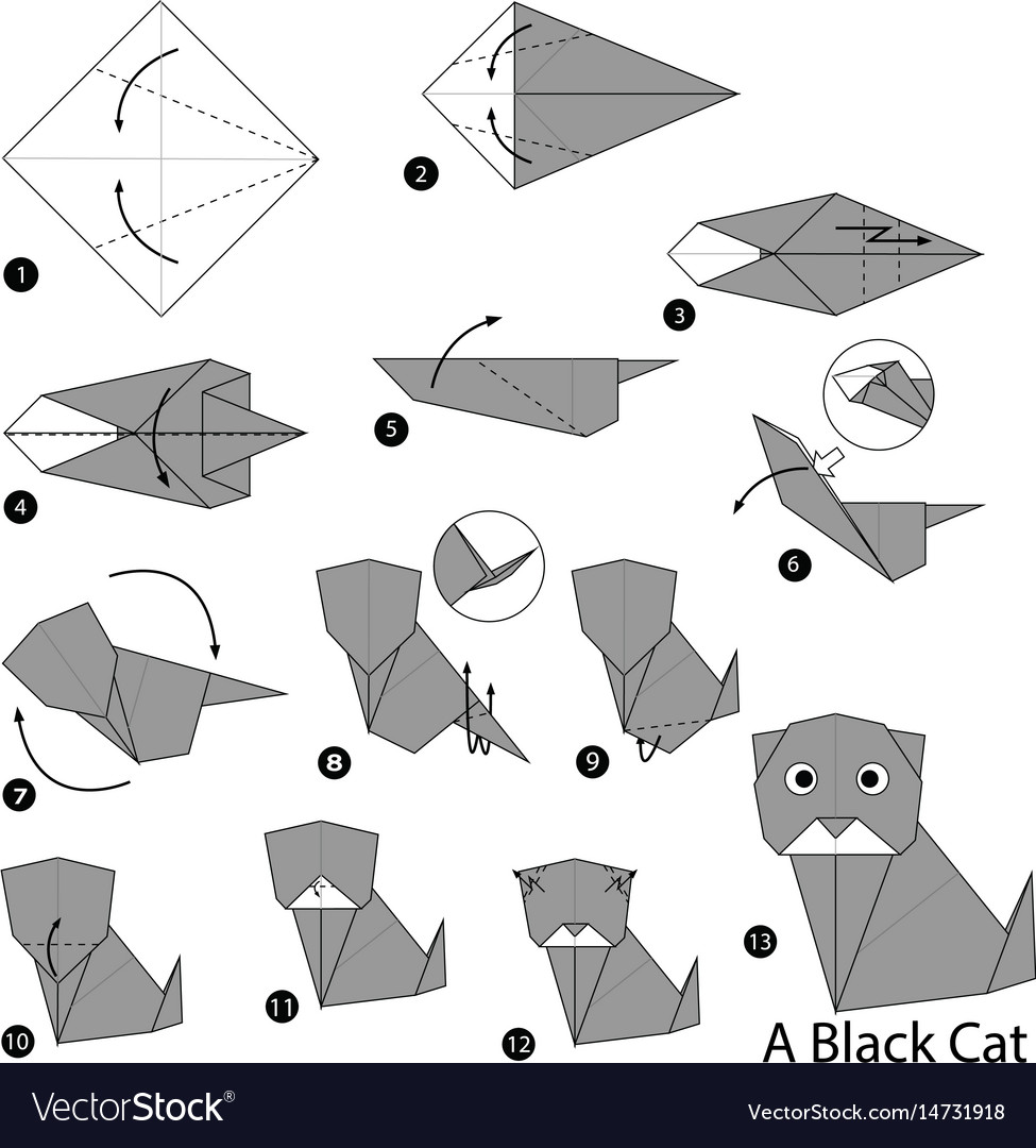 Step Step Instructions How To Make Origami Vector Image