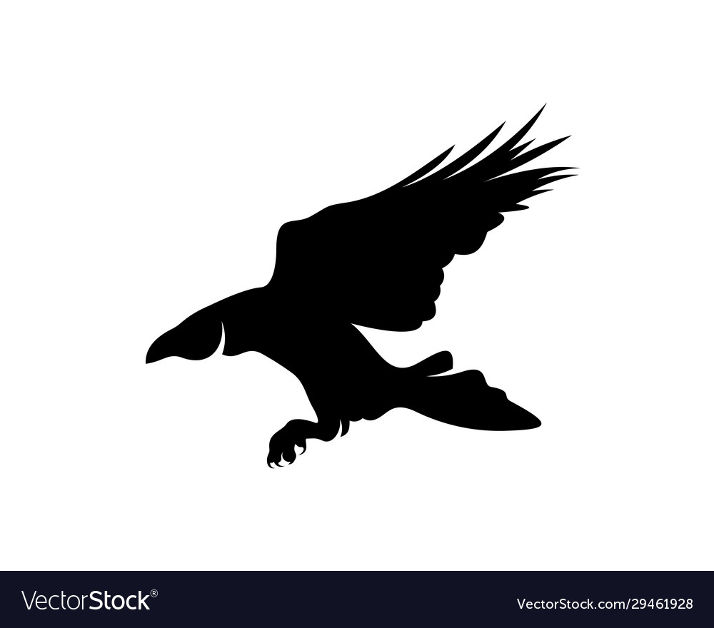 Raven bird logo template black silhouette Vector Image