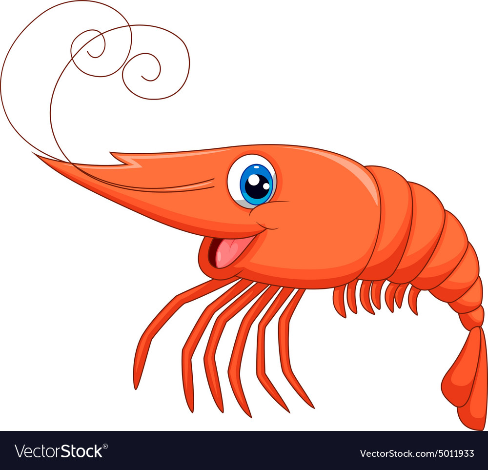 Cute shrimp cartoon Royalty Free Vector Image - VectorStock