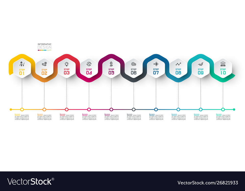 Hexagon label with color line linked infographics Vector Image