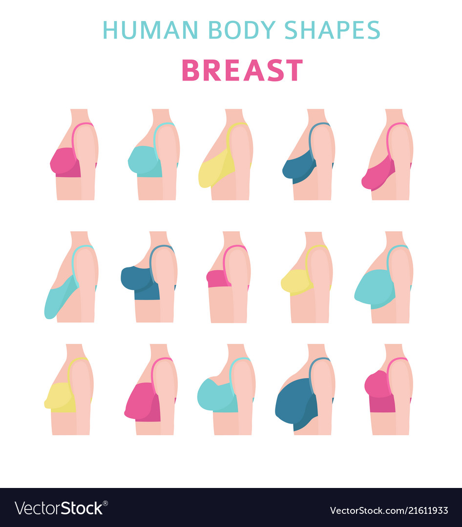 different types breast shapes