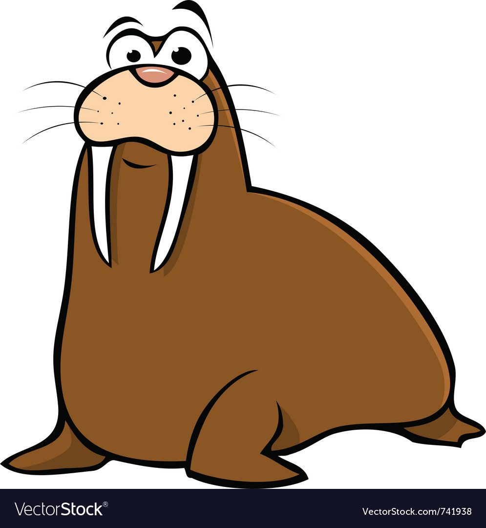 Walrus Royalty Free Vector Image - VectorStock