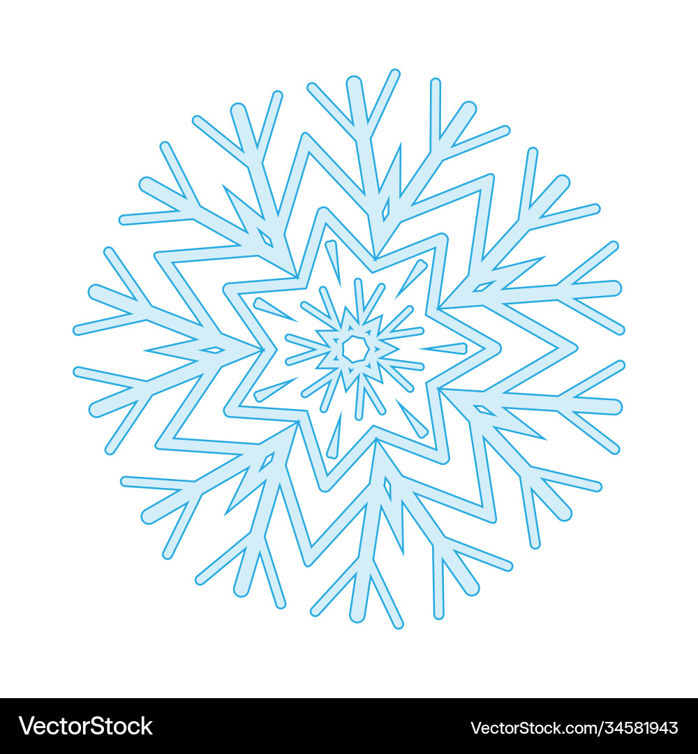 Winter snowflake isolated on white background Vector Image